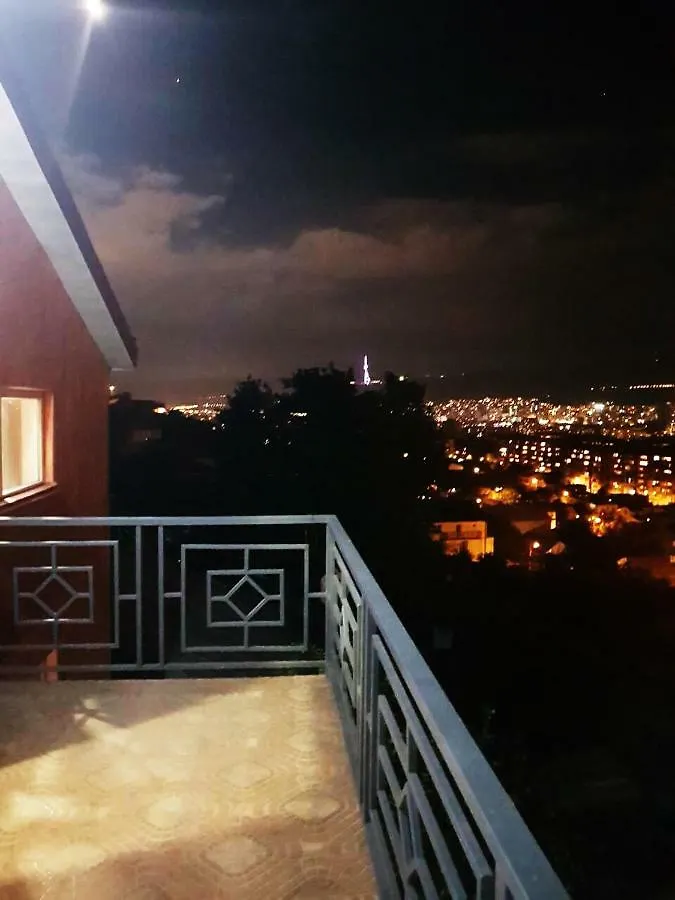 Red Hotel Tbilisi 3*,